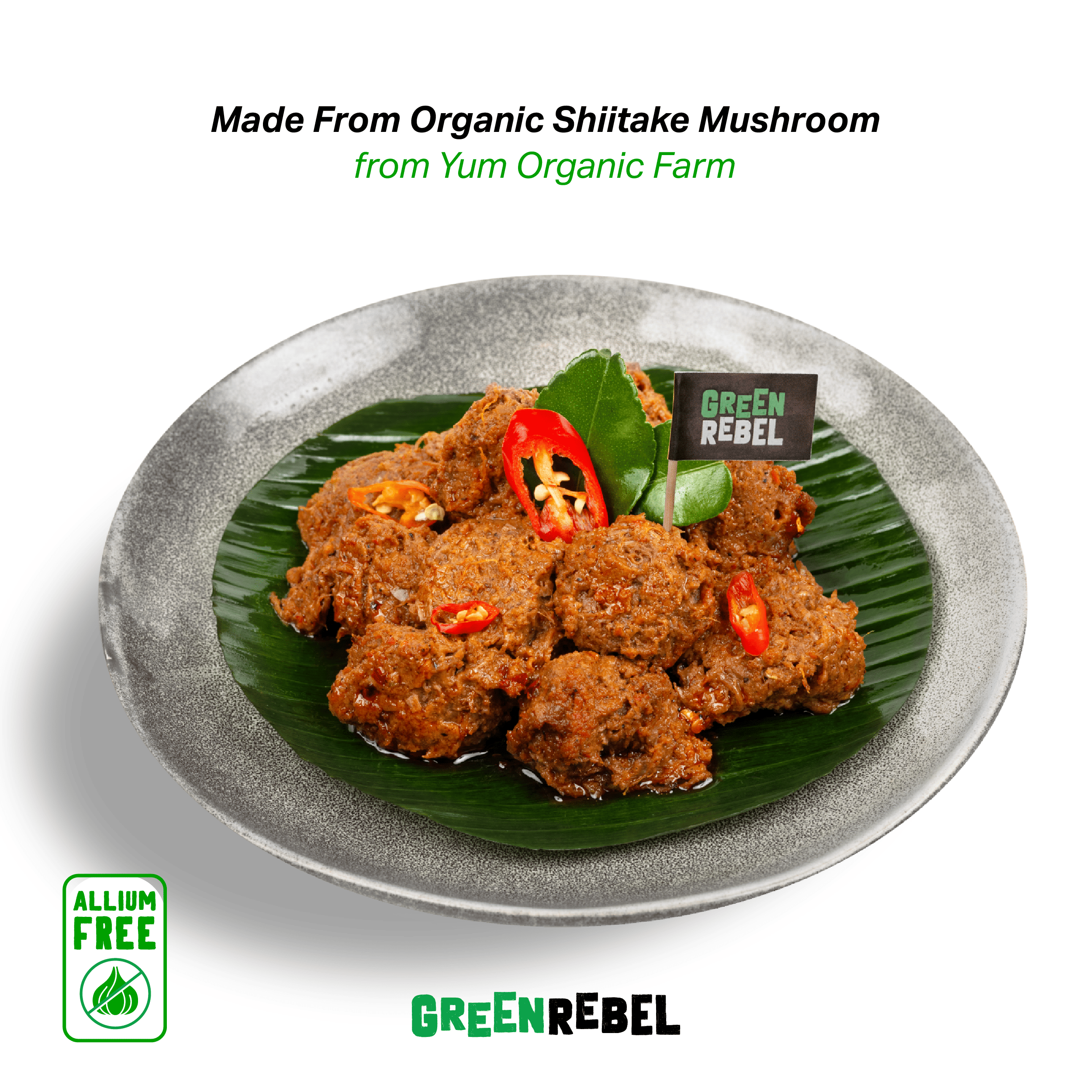 Paket Tempe Organik + Rendang